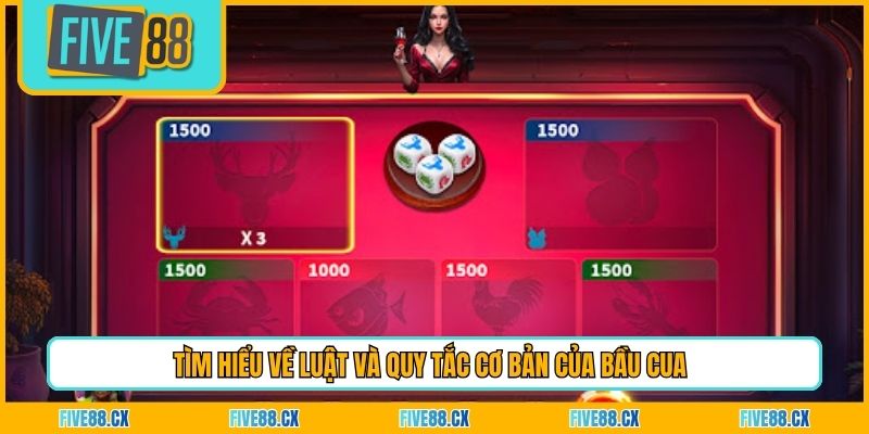 Tìm hiểu về luật và quy tắc cơ bản của bầu cua